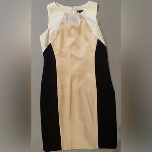 Ann Taylor Dress